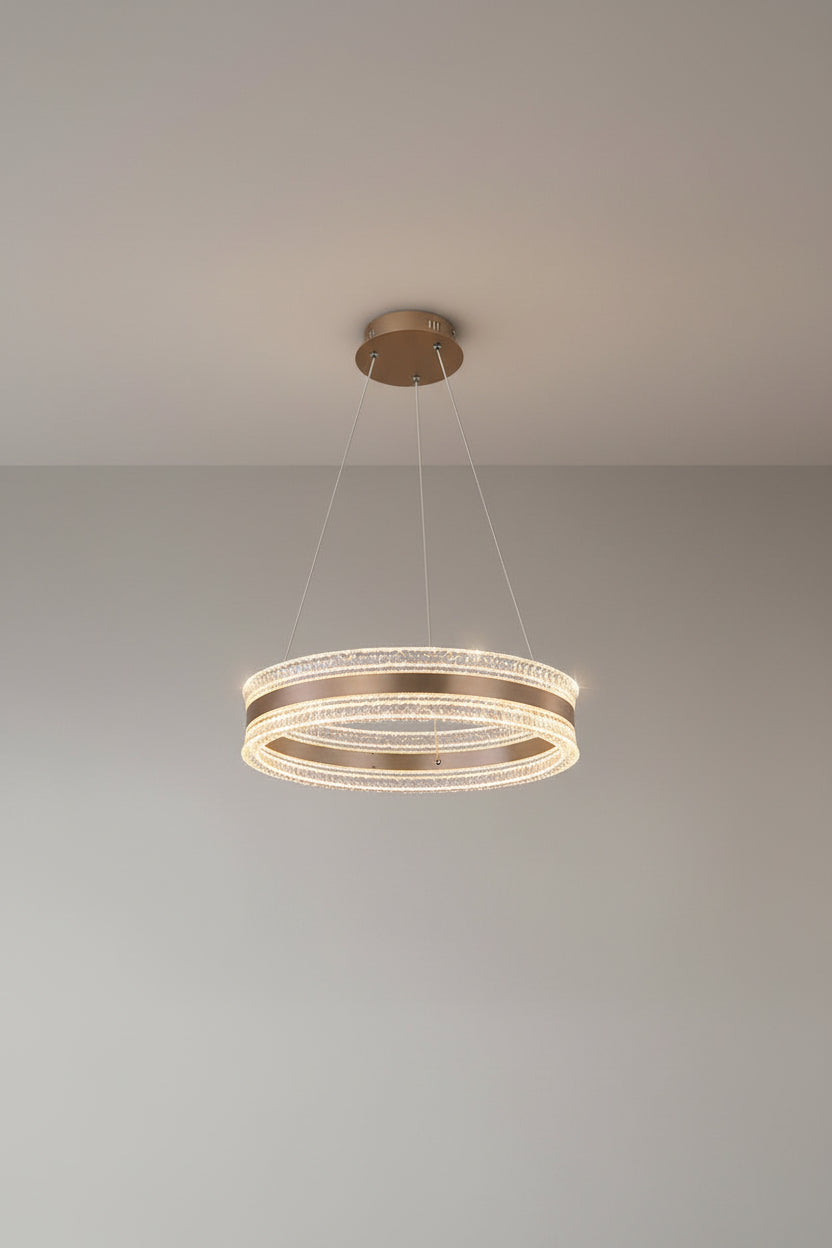 Flux Single Ring Aluminum Art Pendant Light D0011